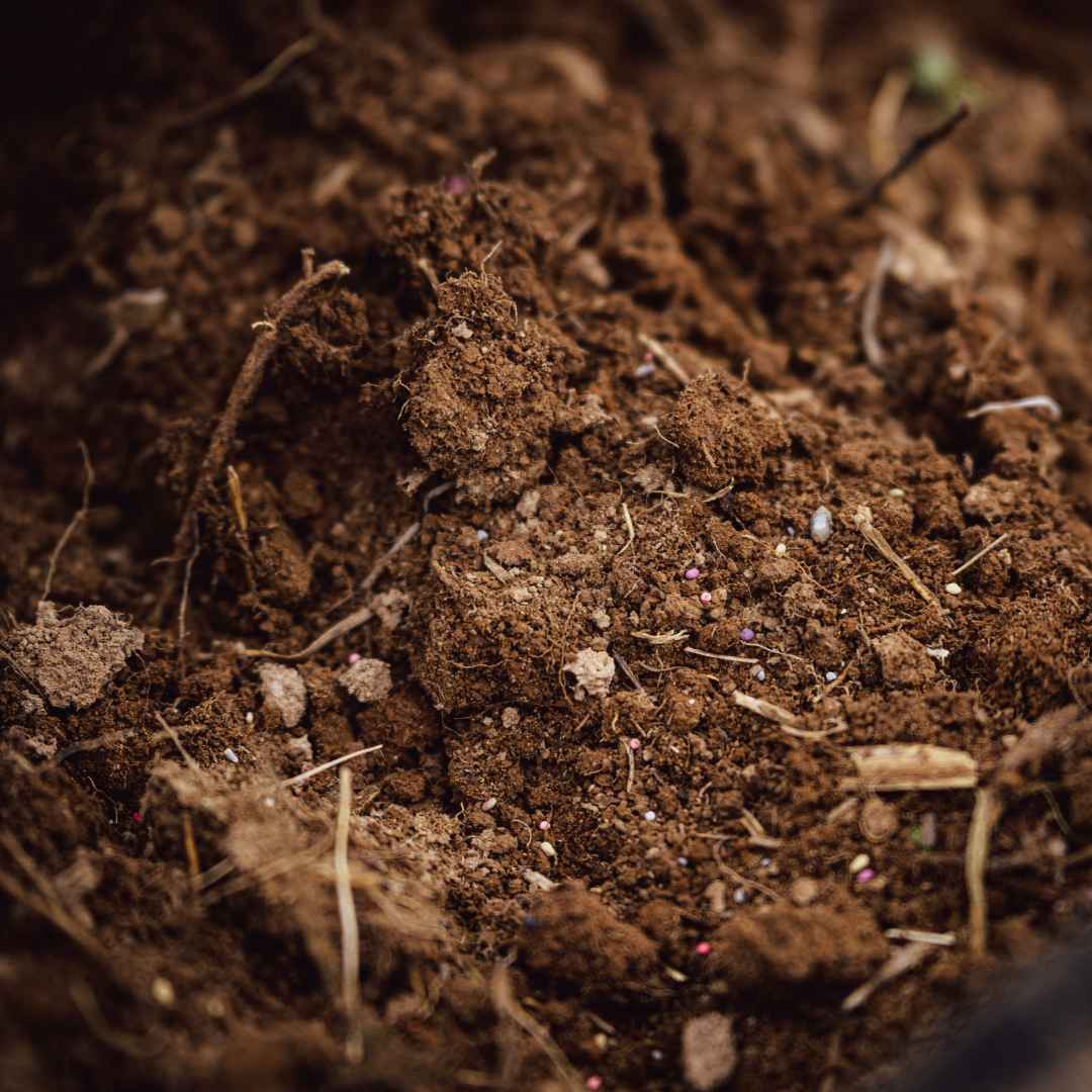 How to Plant a Fall Food Plot with Minimal Equipment | Plotmaster